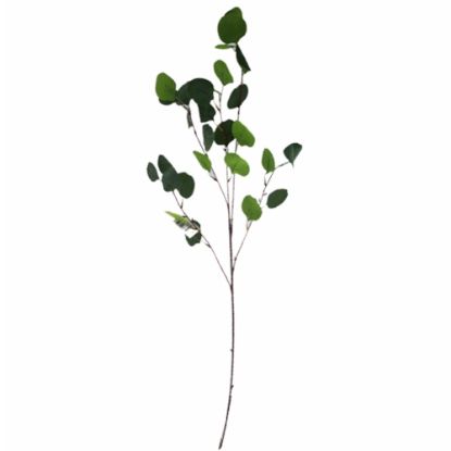 Picture of 95cm EUCALYPTUS SPRAY GREEN