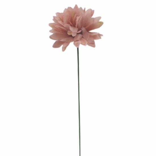 Picture of 29cm SINGLE SPIKY CHRYSANTHEMUM VINTAGE PINK X 400pcs