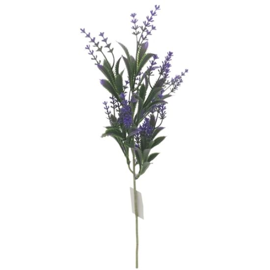 Picture of 48cm ASTILBE SPRAY PURPLE