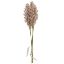 Picture of 32cm ASTILBE BUNDLE (6 STEMS) VINTAGE PINK