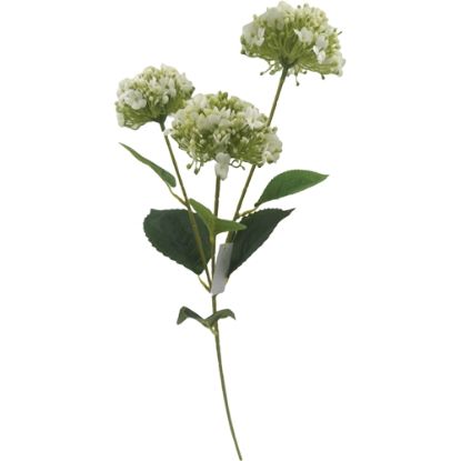 Picture of 63cm BUDDING HYDRANGEA SPRAY IVORY