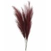 Picture of 115cm ARTIFICIAL PAMPAS GRASS (18 FORKS) BURGUNDY X 4pcs