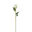 Picture of 52cm SINGLE ROSEBUD IVORY