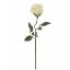Picture of 52cm SINGLE OPEN ROSE IVORY