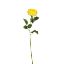 Picture of 61cm SINGLE CABBAGE OPEN ROSE YELLOW