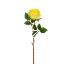 Picture of 50cm SINGLE GLOBE ROSE YELLOW