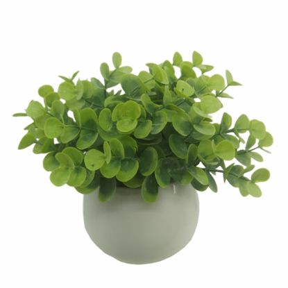 Picture of PLASTIC EUCALYPTUS BUSH IN POT