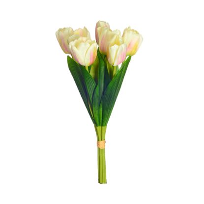 Picture of TULIP BUNDLE (7 STEMS) CREAM/PINK