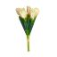 Picture of TULIP BUNDLE (7 STEMS) CREAM/PINK