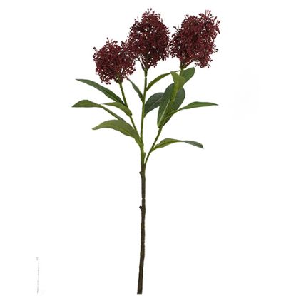 Picture of 58cm SKIMMIA (JAPONICA) SPRAY BURGUNDY