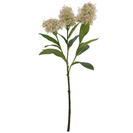 Picture of 58cm SKIMMIA (JAPONICA) SPRAY PINK/GREEN