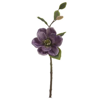 Picture of 46cm MAGNOLIA SPRAY DRY COLOUR MAUVE