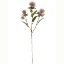 Picture of 57cm THISTLE SPRAY DRY COLOUR PINK