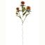 Picture of 57cm THISTLE SPRAY DRY COLOUR ORANGE
