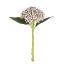Picture of 32cm PLASTIC HYDRANGEA BUD LAVENDER