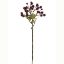 Picture of 50cm PLASTIC SANICULA SPRAY DRY COLOUR BURGUNDY