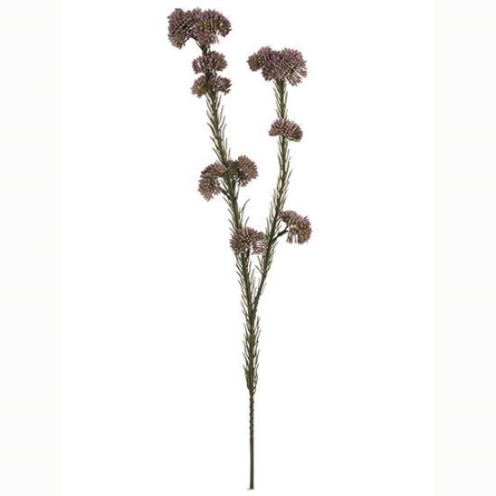 Picture of 57cm RICE FLOWER SPRAY DRY COLOUR MAUVE