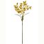 Picture of 72cm DAPHNE SPRAY DRY COLOUR MUSTARD