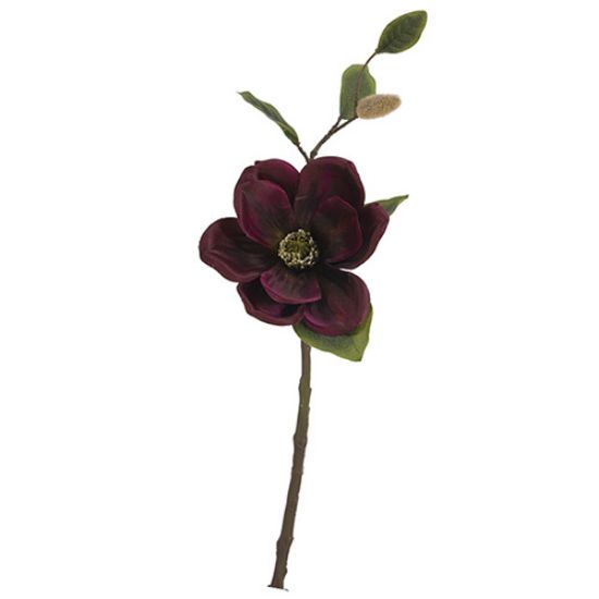 Picture of 46cm MAGNOLIA SPRAY DRY COLOUR BURGUNDY