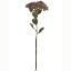 Picture of 46cm SEDUM (STONECROP) SPRAY DRY COLOUR MAUVE