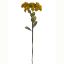 Picture of 46cm SEDUM (STONECROP) SPRAY DRY COLOUR MUSTARD