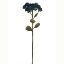 Picture of 46cm SEDUM (STONECROP) SPRAY DRY COLOUR TEAL