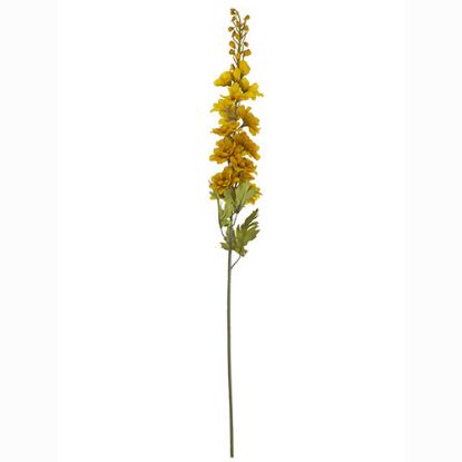 Picture of 79cm DELPHINIUM SPRAY DRY COLOUR MUSTARD