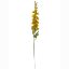 Picture of 79cm DELPHINIUM SPRAY DRY COLOUR MUSTARD