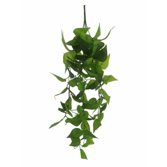 Picture of 73cm TRAILING POTHOS BUSH GREEN