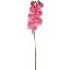 Picture of 75cm PHALAENOPSIS ORCHID SPRAY PINK