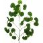 Picture of 66cm CHINESE MONEY LEAF SPRAY (36 LEAVES) GREEN X 12pcs