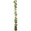 Picture of 165cm ROSE AND FOLIAGE GARLAND IVORY