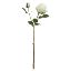Picture of 50cm FRESH TOUCH ROSE SPRAY IVORY