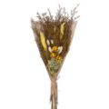 Picture for category Dried Bouquets