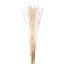 Picture of DRIED FLOWERS - SILK WORMS GRASS (APPROX. 60grams) IVORY/WHITE