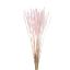 Picture of DRIED FLOWERS - SILK WORMS GRASS (APPROX. 60grams) LIGHT PINK