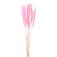 Picture of DRIED FLOWERS - PAMPAS GRASS (10 stems) LIGHT PINK