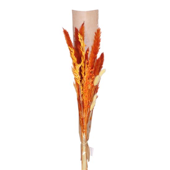 Picture of DRIED FLOWER BOUQUET - ORANGE/CREAM