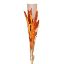 Picture of DRIED FLOWER BOUQUET - ORANGE/CREAM