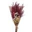 Picture of DRIED FLOWER LARGE MIXED BOUQUET - BURGUNDY/RED/CREAM