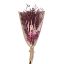 Picture of DRIED FLOWER LARGE MIXED BOUQUET - PINK/FUCHSIA