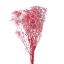 Picture of DRIED FLOWERS - GYPSOPHILA BABYS BREATH 70cm (120 grams) PINK