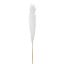 Picture of DRIED FLOWERS - PAMPAS GRASS 118cm (5 stems) IVORY/WHITE