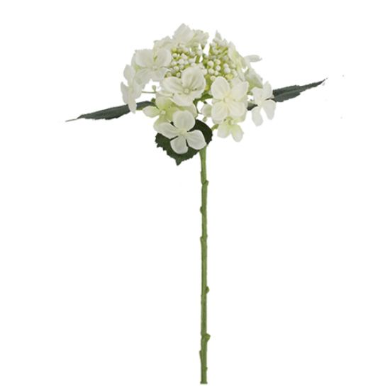 Picture of 45cm BUDDING HYDRANGEA IVORY