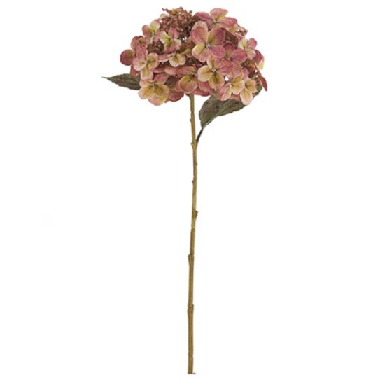 Picture of 52cm LARGE BUDDING HYDRANGEA DRY COLOUR PINK