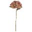 Picture of 52cm LARGE BUDDING HYDRANGEA DRY COLOUR PINK