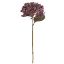Picture of 52cm LARGE BUDDING HYDRANGEA DRY COLOUR LILAC/PURPLE