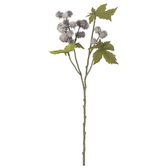 Picture of 43cm RICINUS (CASTOR OIL) SPRAY DRY COLOUR GREY