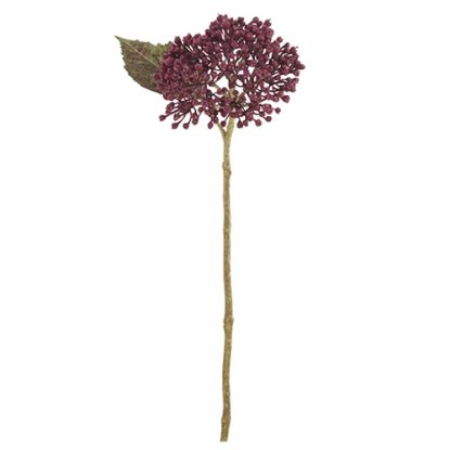 Picture of 38cm HYDRANGEA BERRY SPRAY DRY COLOUR BURGUNDY