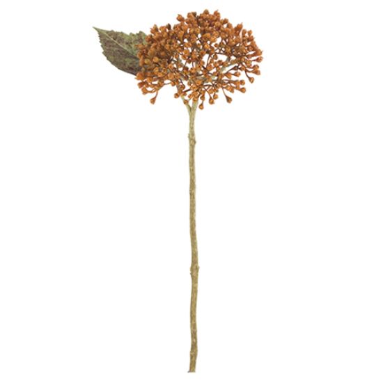Picture of 38cm HYDRANGEA BERRY SPRAY DRY COLOUR ORANGE